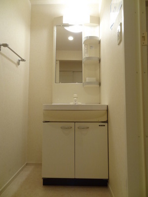 Washroom. Wash basin