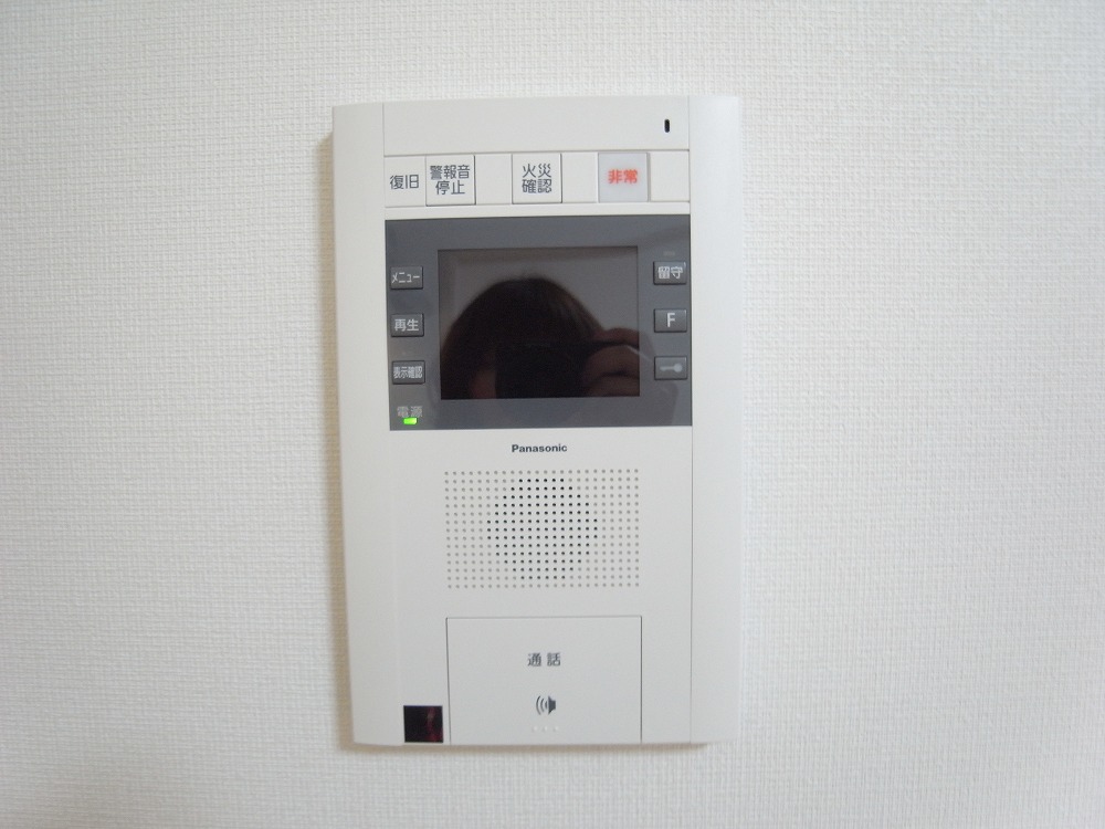 Security. TV monitor phone