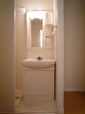 Washroom. Wash basin