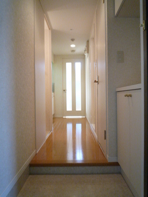 Entrance. Entrance hall