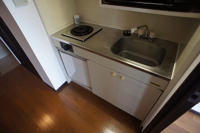 Kitchen. Mini refrigerator equipped