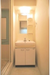 Washroom. Wash basin