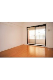 Other room space. Western style room