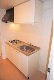 Kitchen. System kitchen (gas 2 burners)