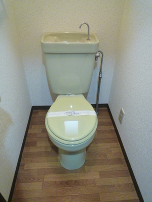 Toilet. Toilet