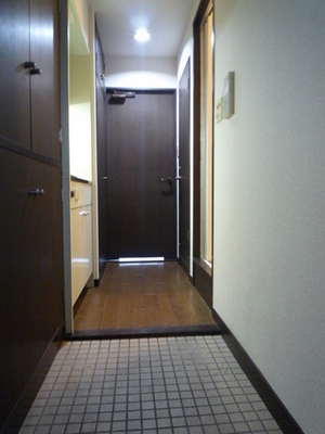 Entrance. Entrance hall