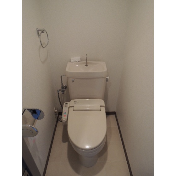 Toilet. Toilet