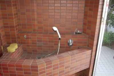 Other. Pet foot washing place