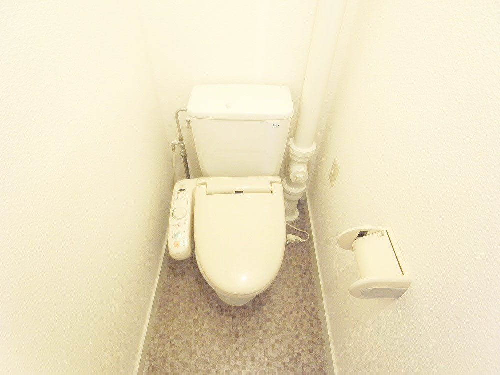 Toilet. With Washlet