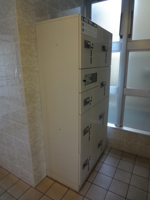 Other common areas. Delivery Box