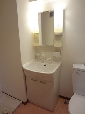 Washroom. Shampoo dresser