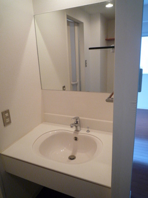 Washroom. Wash basin