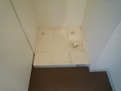 Washroom. Washing machine in the room