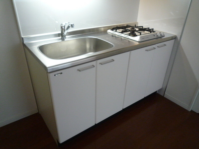 Kitchen. System kitchen