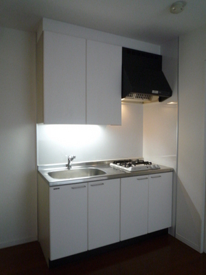 Kitchen. System kitchen