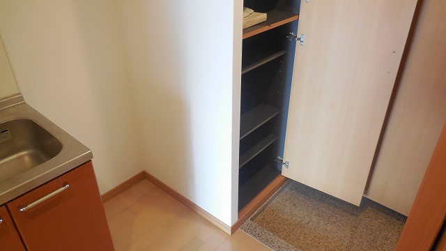 Other room space. Large front door storage