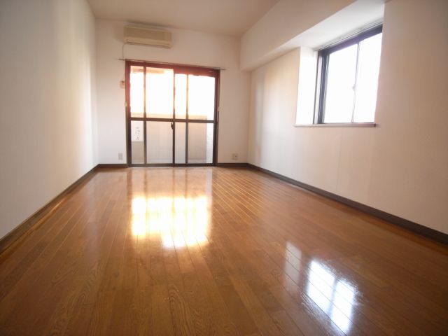 Living and room. Sunny