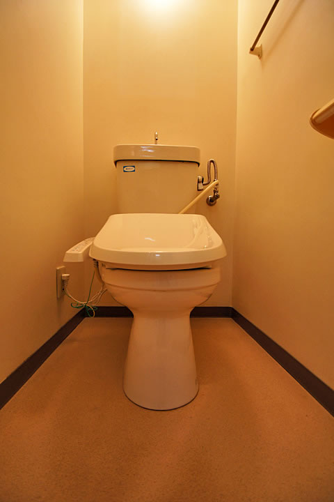Toilet