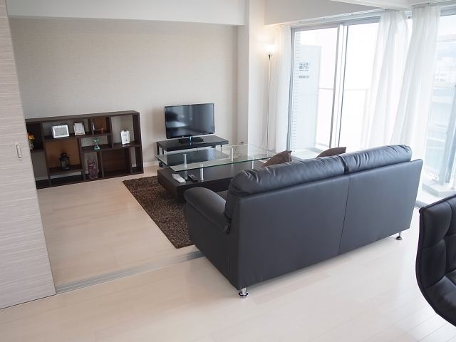 Living and room. Living