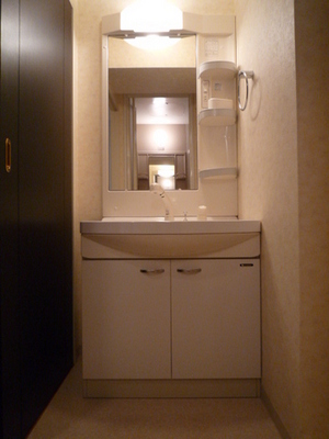 Washroom. Wash basin