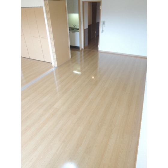 Living and room. Living