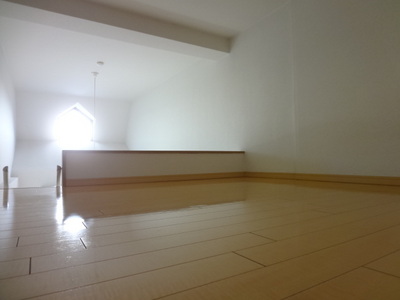 Living and room. loft