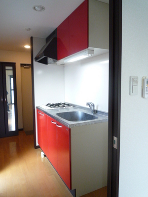 Kitchen. System kitchen