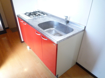 Kitchen. System kitchen