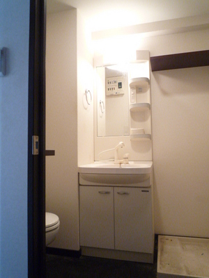 Washroom. Wash basin