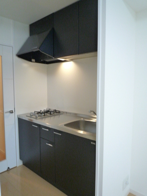 Kitchen. System kitchen