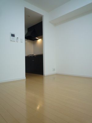 Living and room. Living