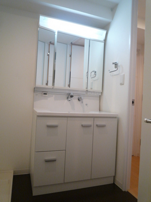 Living and room. Wash basin