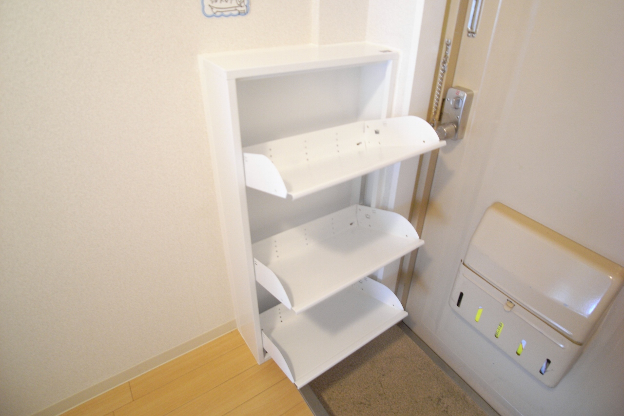 Entrance. Another room (image)