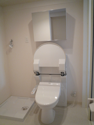 Toilet. Washbasins hide