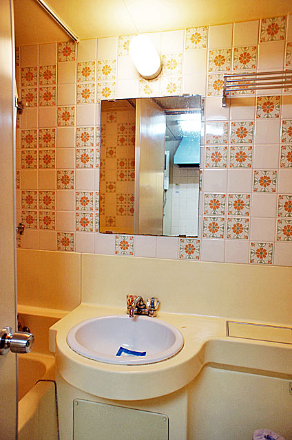 Washroom. Wash basin