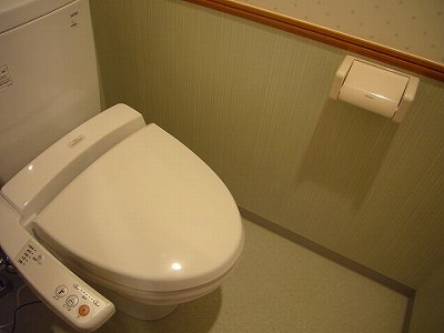Other room space. Toilet