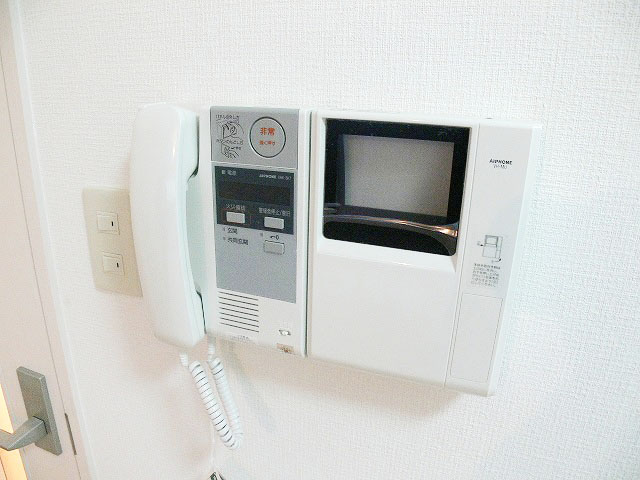 Security. TV monitor phone