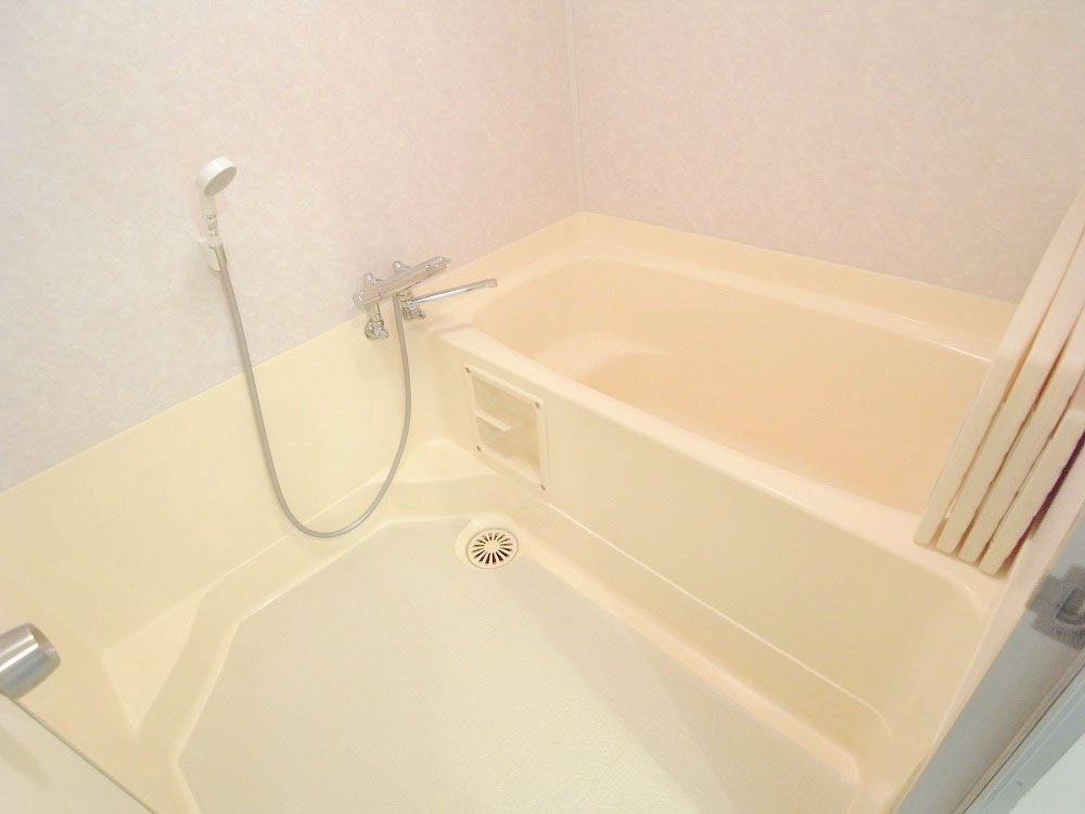 Bath. Thermostatic Faucets