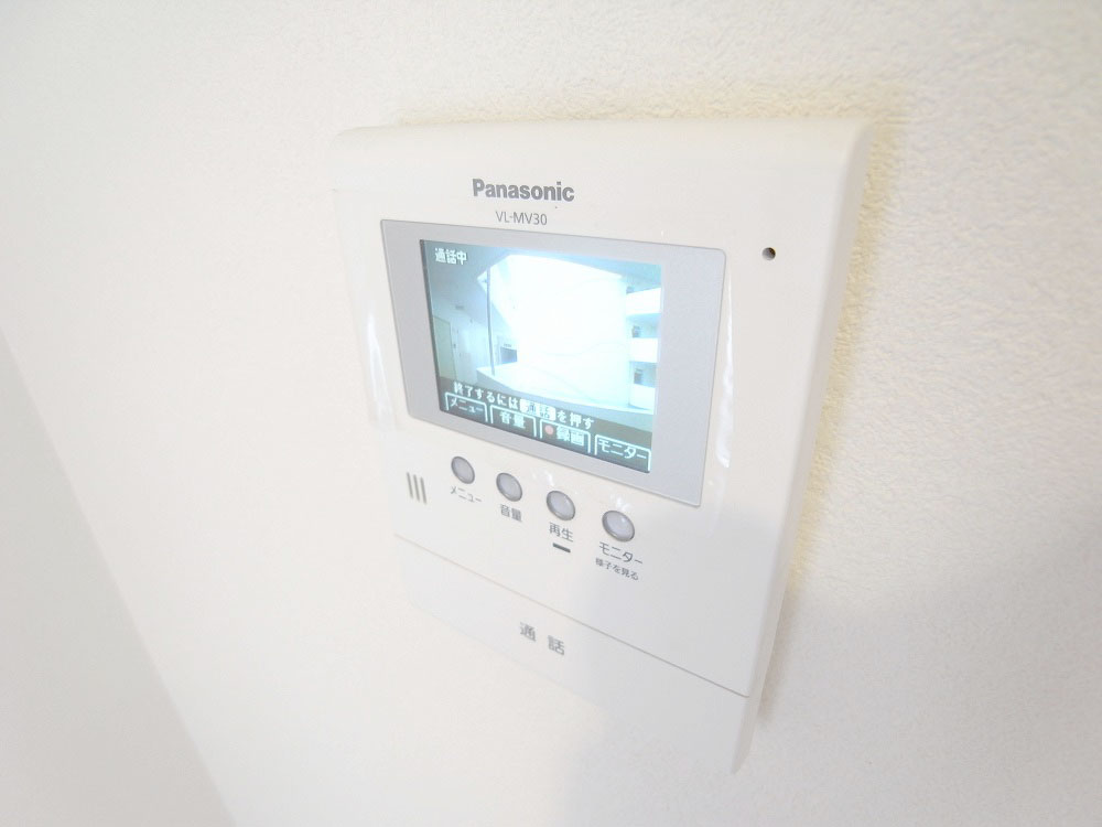 Security. TV monitor phone