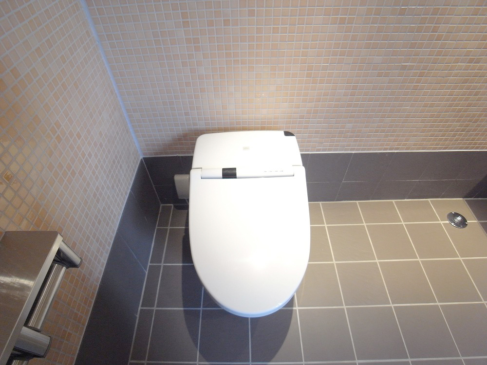 Toilet. With Washlet