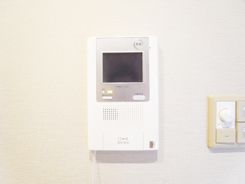 Security. TV monitor phone