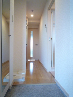 Entrance. Entrance hall