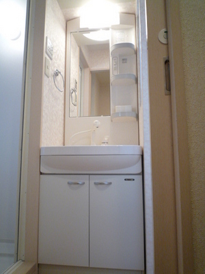 Washroom. Wash basin