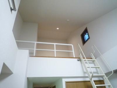 Living and room. loft