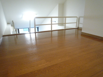 Living and room. loft