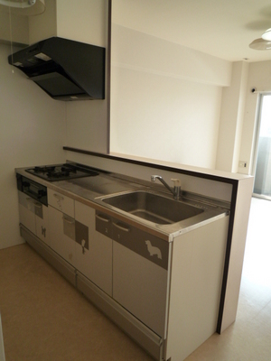 Kitchen. Counter Kitchen