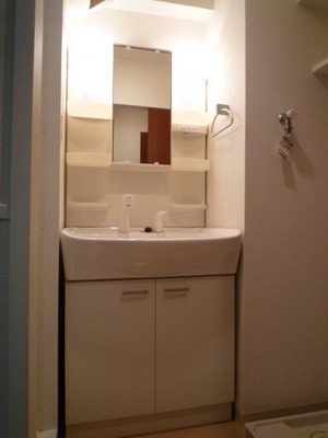 Washroom. Shampoo dresser