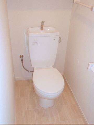 Toilet. With shelf
