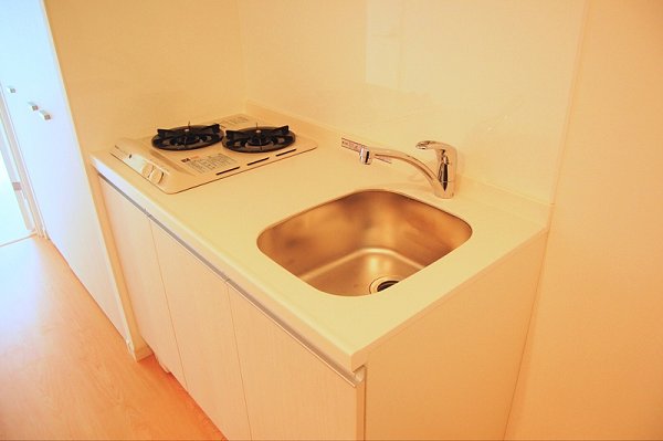 Kitchen. Gas stove 2-neck