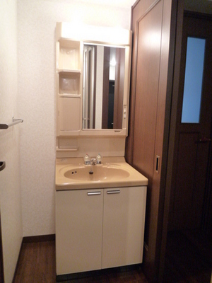 Washroom. Wash basin